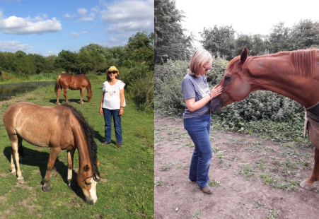 Jo Peirson at Spirit and Soul equine therapy centre in Derbyshire receiving some healing energy from the horses.